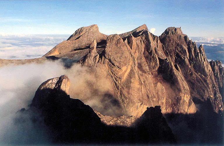 A strong earthquake that jolted Malaysia's Mount Kinabalu has killed at least 11 people and left another eight missing on Southeast Asia's highest peak, a government official says