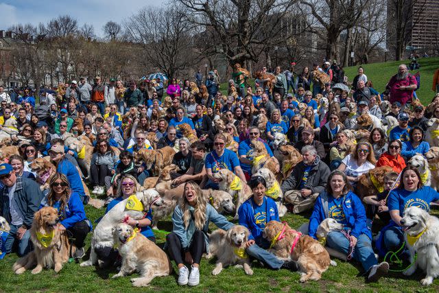 <p>JOSEPH PREZIOSO/AFP via Getty</p> Golden retrievers gather in Boston on April 14, 2024, to honor Spencer, the official dog of the Boston Marathon, who died in 2023