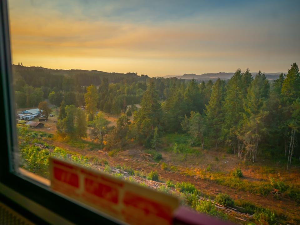 view of trees from amtrak window roomette