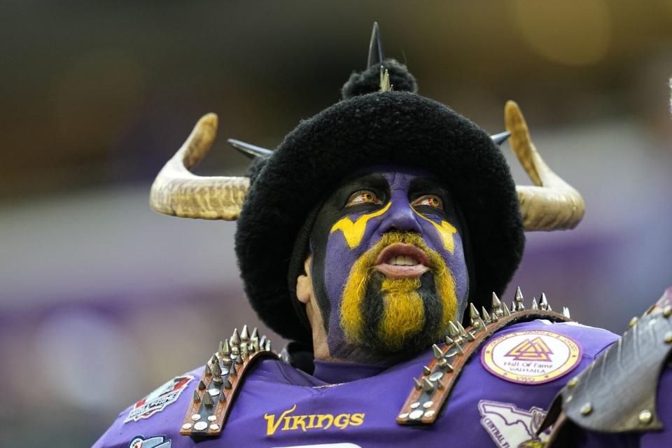 A Minnesota Vikings fan cheers before a wild-card game against the New York Giants.