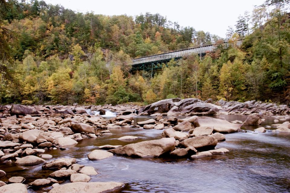 Toccoa River Swinging Bridge