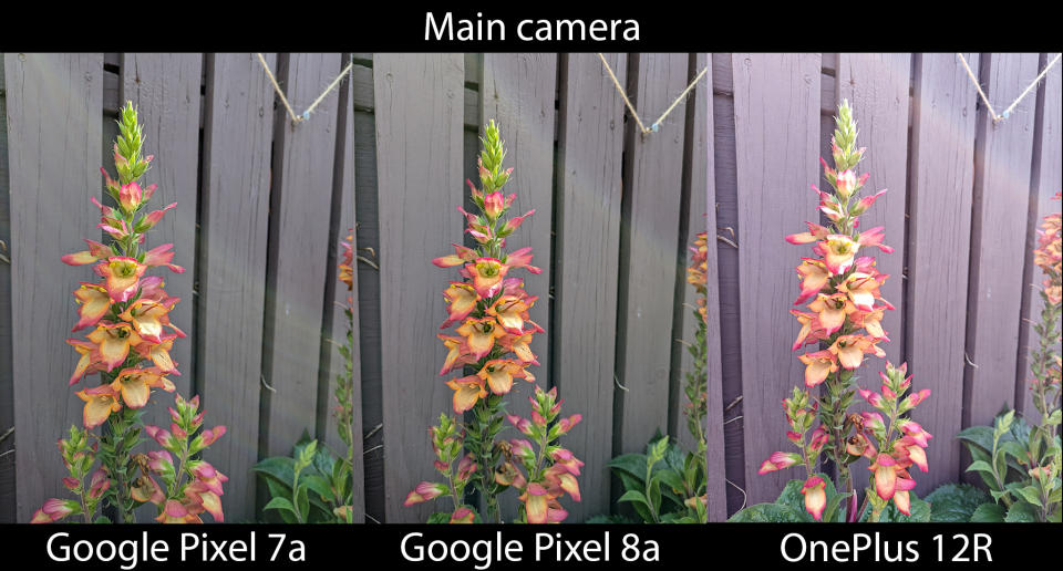 Comparing the Google Pixel 8a's camera with the Pixel 7a and OnePlus 12R