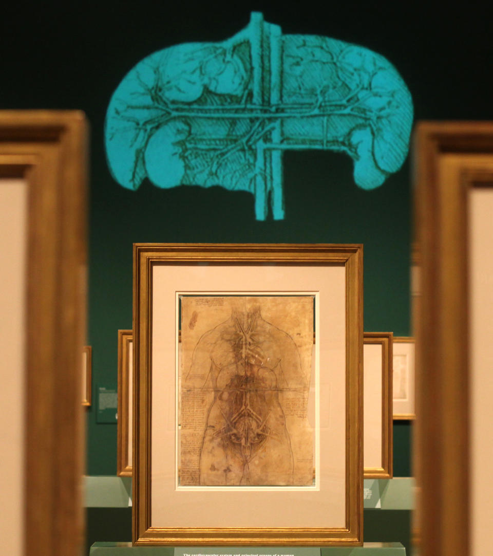 An ink drawing by Leonardo da Vinci titled 'The Principal Organs and Vessels of a Woman', around-1508-10, is seen with a projection of one of his many other anatomical depiction's at the Anatomist- exhibition at the gallery in Buckingham Palace, London, Monday, April 30, 2012. The display the largest ever of da Vinci's anatomical works is open to the public and runs from May 4- Oct. 7. (AP Photo/Alastair Grant)
