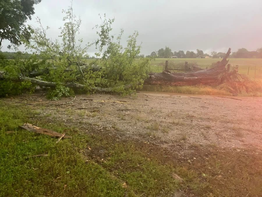 Tree fallen in roadway. Photo courtesy of Lilbert-Looneyville Volunteer Fire Department.