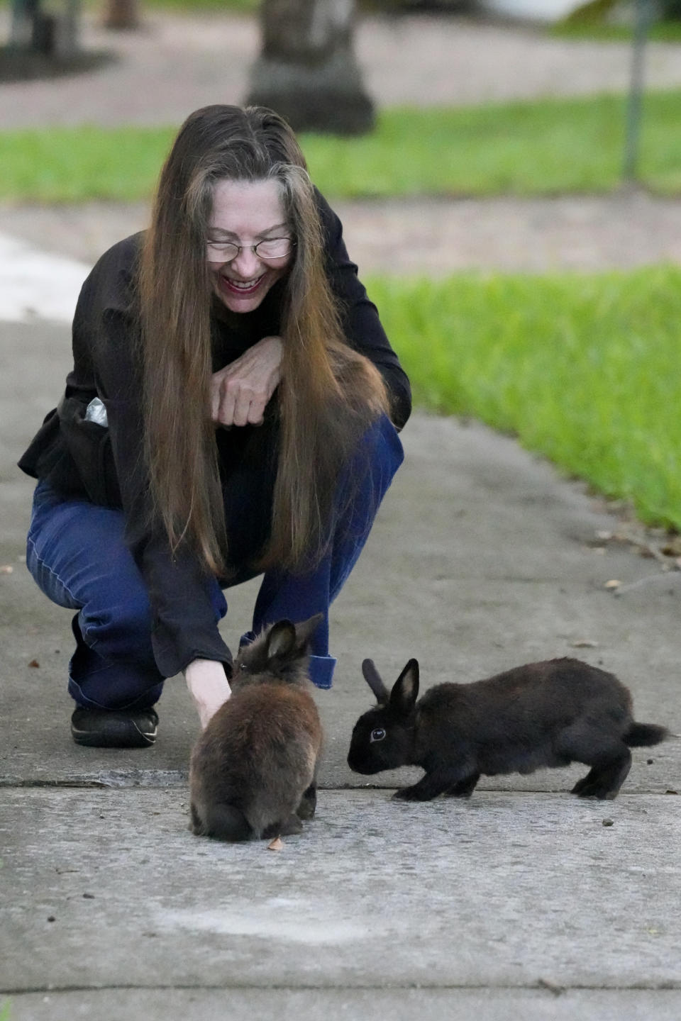 Alicia Griggs feeds rabbits outside her home, Tuesday, July 11, 2023, in Wilton Manors, Fla. Griggs is spearheading efforts to raise the $20,000 to $40,000 it would cost for a rescue group to capture, neuter, vaccinate, shelter and then give away the estimated 60 to 100 lionhead rabbits that now populate Jenada Isles, an 81-home community in Wilton Manors. (AP Photo/Wilfredo Lee)