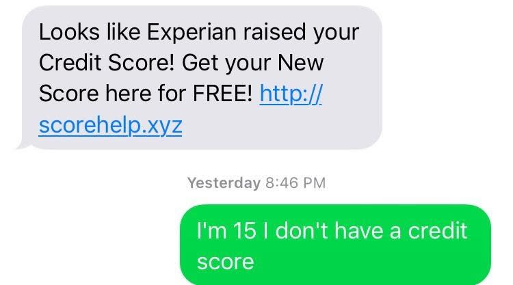 scammer says get your credit score checked and the other person responds that they are 15