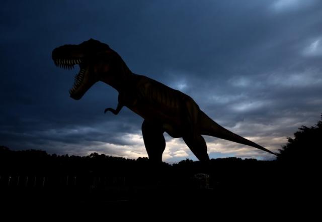 Tyrannosaurus rex was a sensitive lover, new dinosaur discovery