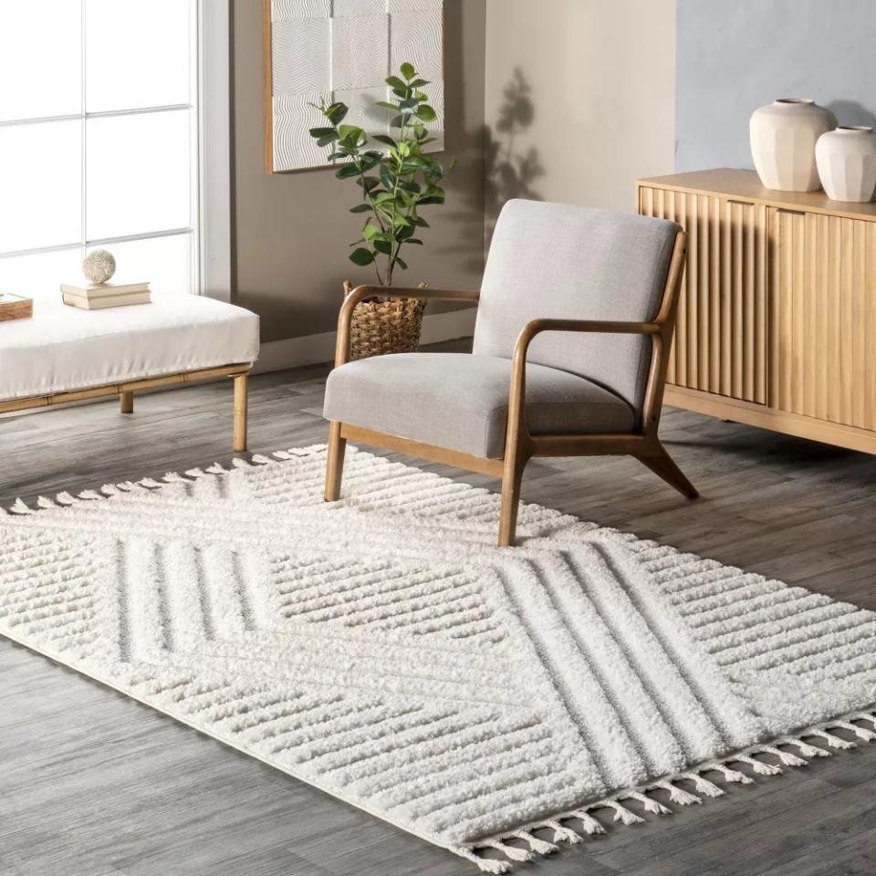 tassel area rug