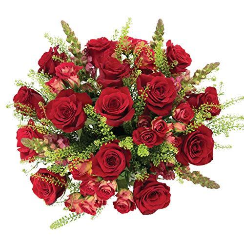 Country Living Floral Collection by Colour Republic Premium Fresh Cut Rose Bouquet, 24 Stems, Red