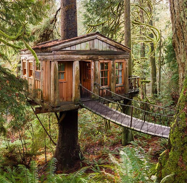 20) Nelson Treehouse and Supply