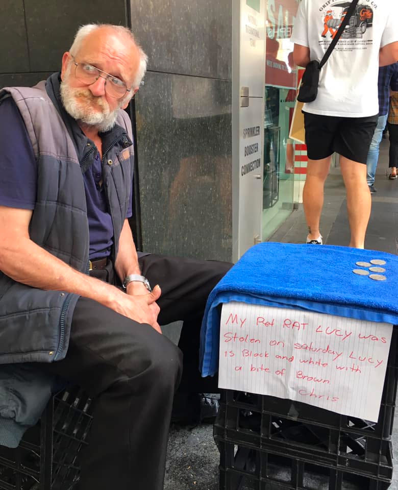 Chris sits in Pitt Street, in Sydney’s CBD, with his sign saying Lucy has been stolen. Source: Alyson Pearce/Facebook