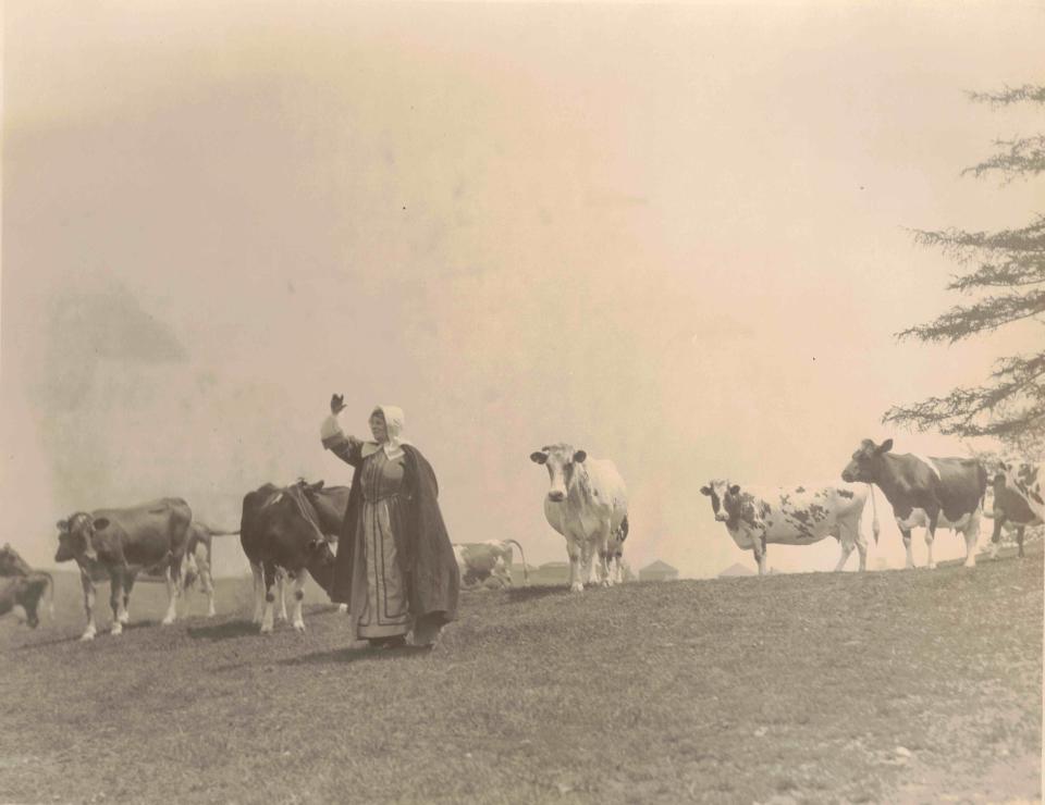 A scene, with live cows, depicting Anne Hutchinson on her way into exile after her excommunication, was part of a historical pageant performed during Quincy's tricentennial celebration in 1925.