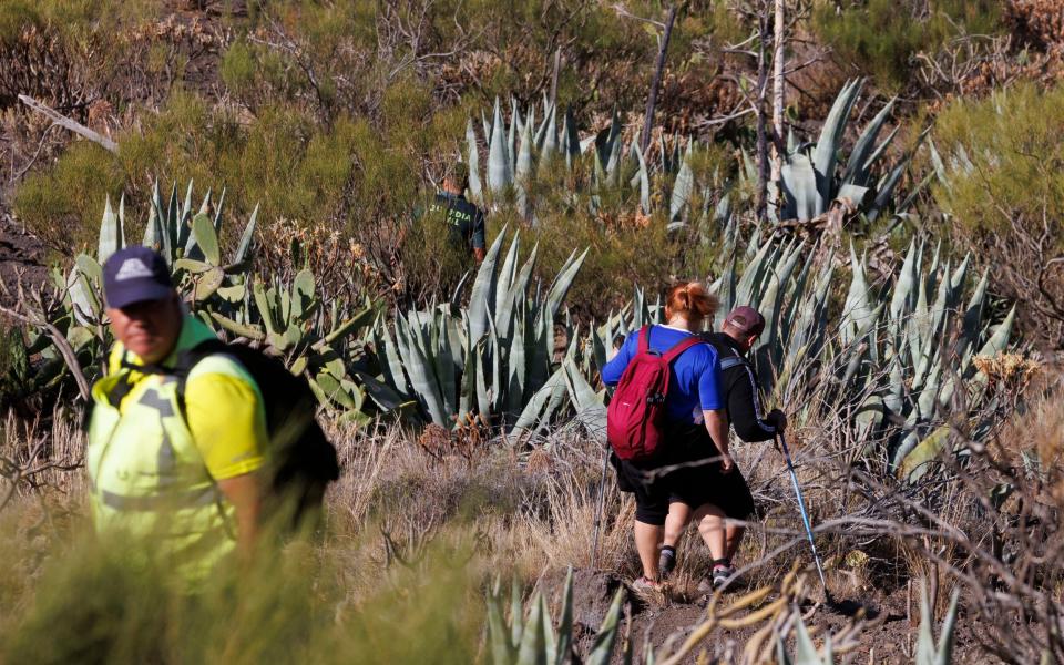 Multi-agency search teams work alongside volunteers in the mountains