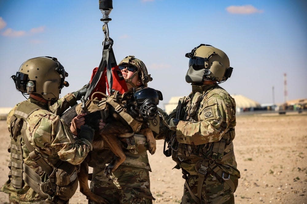 The 82nd Combat Aviation Brigade, 82nd Airborne Division, facilitates K9 hoist training with the Area Support Group Kuwait Military Working Dog program on Feb. 7, 2024, at Camp Buehring, Kuwait.