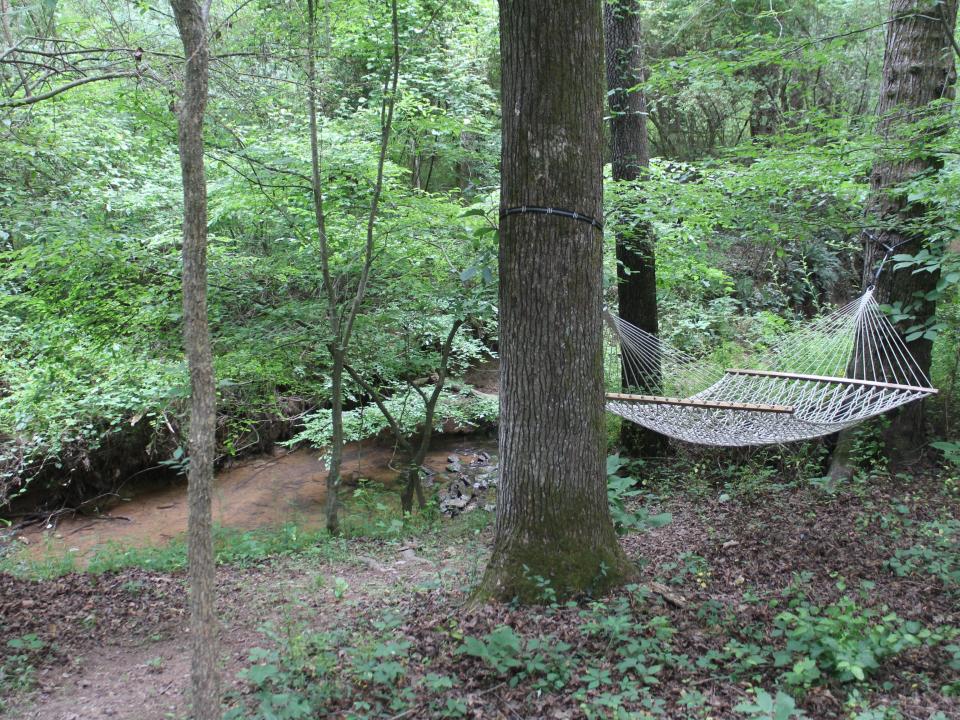 creek and hammock near the tiny house