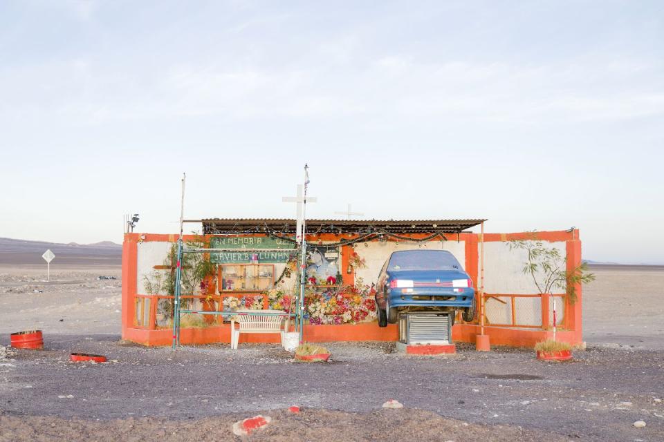 in the stillness of the atacama desert this vibrant assemblage is evidence of both death and life