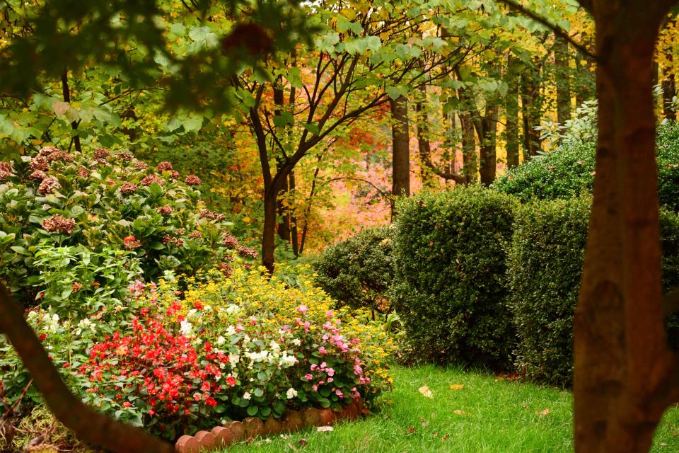 8 Fall Gardening Mistakes That Have a Long-Term Impact on Your Yard
