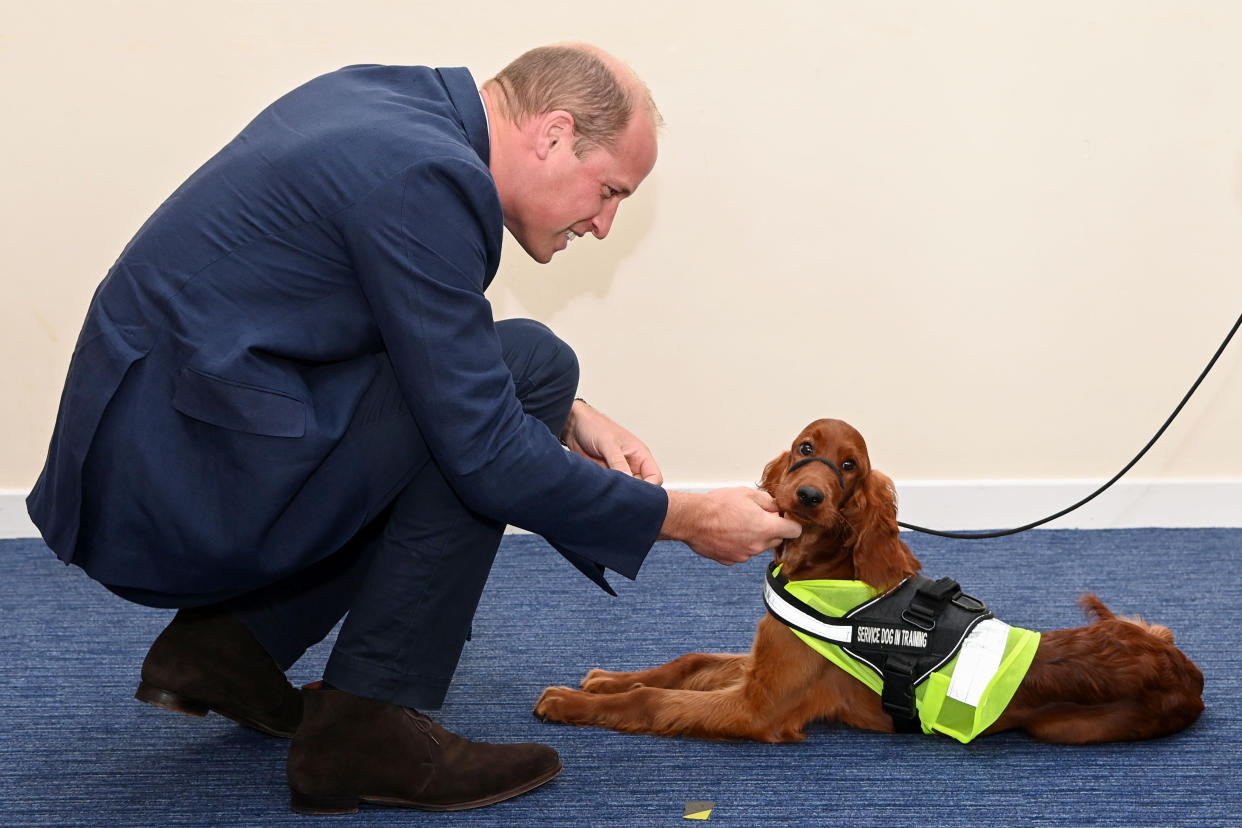 The Duke of Cambridge and an Irish setter