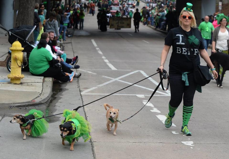 Great Dane Friends of Ruff Love group members parade decked out dogs during the 21st annual Charlotte St. Patrick’s Day Parade in uptown Charlotte.