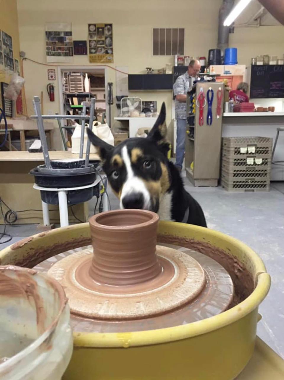 Springfield Pottery, owned by spouses Jennifer and Nathan Falter, offers classes for those interested in learning the craft.