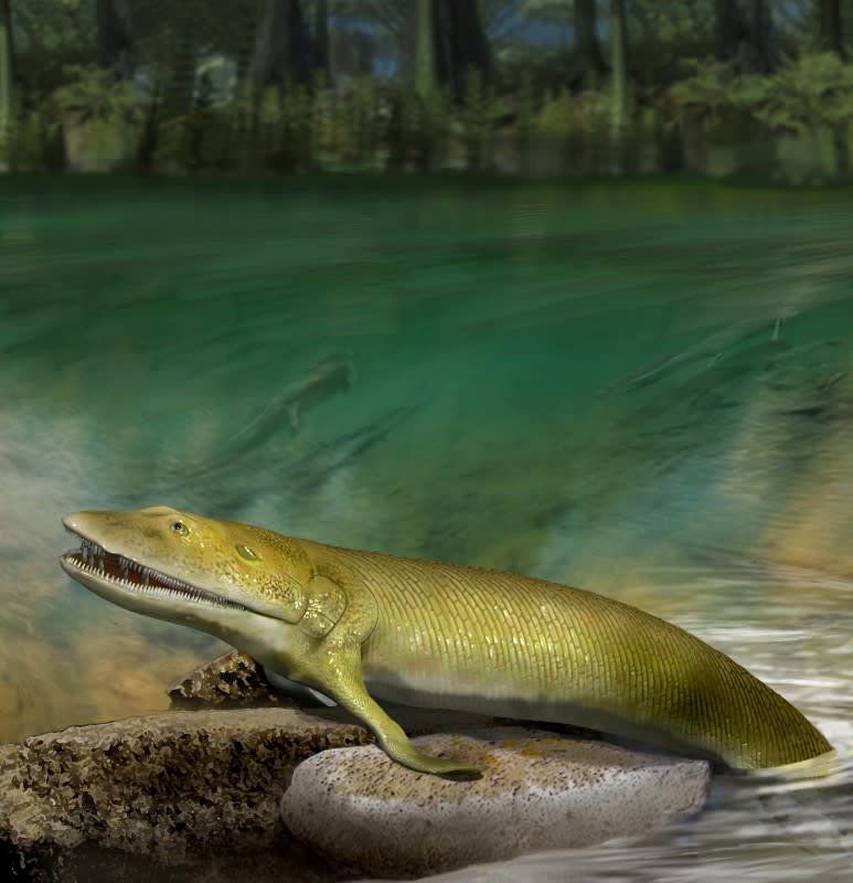 An artist?s reconstruction of the extinct fish Elpistostege watsoni