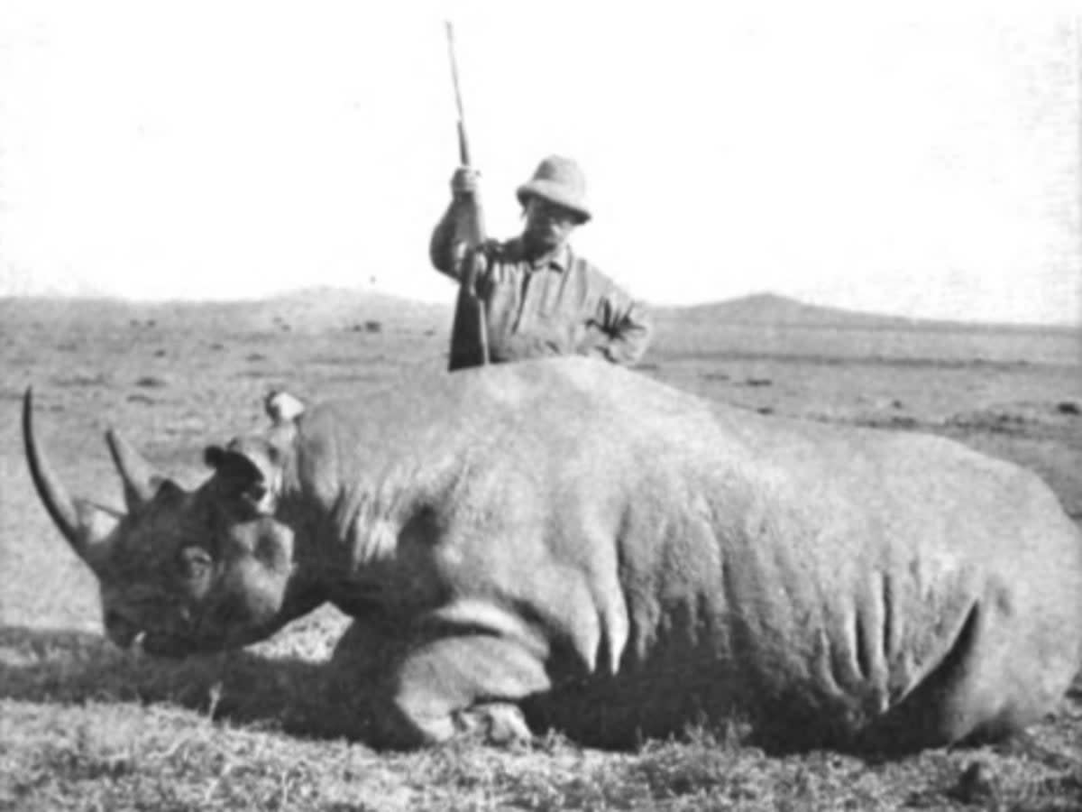 Theodore Roosevelt stands above a black rhino he has just killed in 1911 (University of Cambridge/Open access)