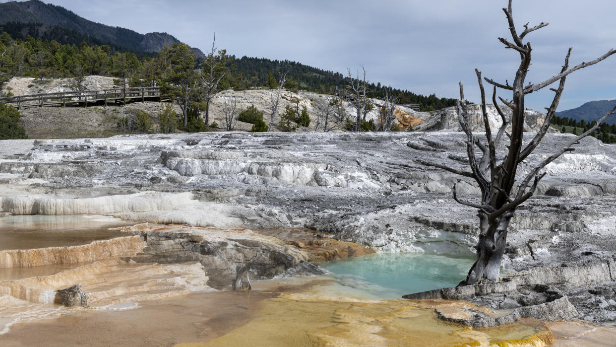  Mammoth Hot Springs at Yellowstone National Park. 