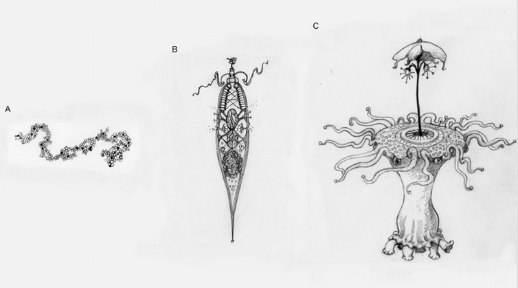 <span class="caption">What alien life might look like.</span> <span class="attribution"><span class="source">©Helen Cooper</span>, <span class="license">Author provided</span></span>