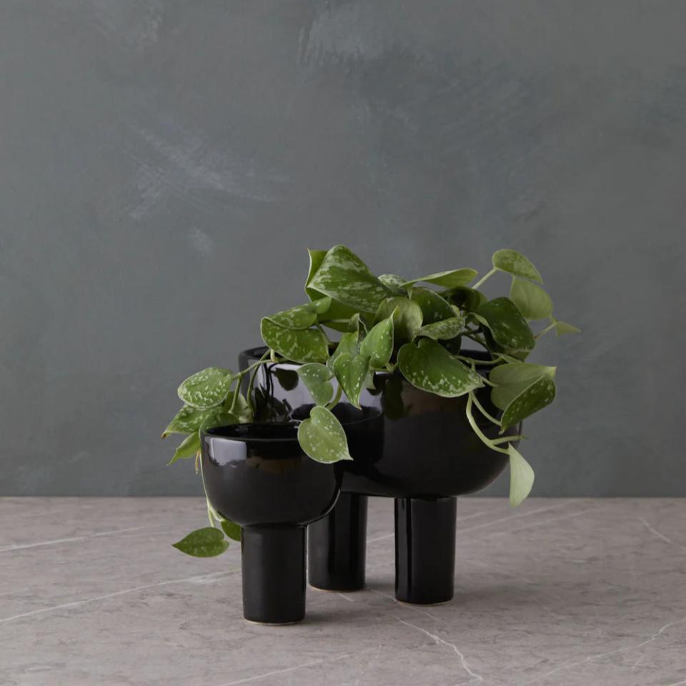 connected black plant pots