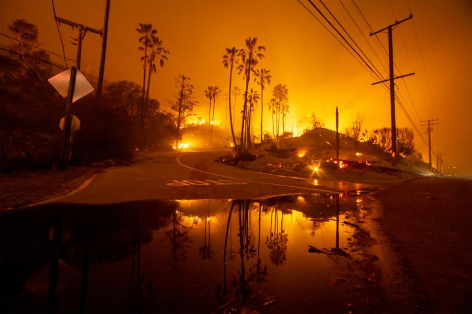 California Fires: 'Bus Driver From Heaven' Rescues Elementary School Students