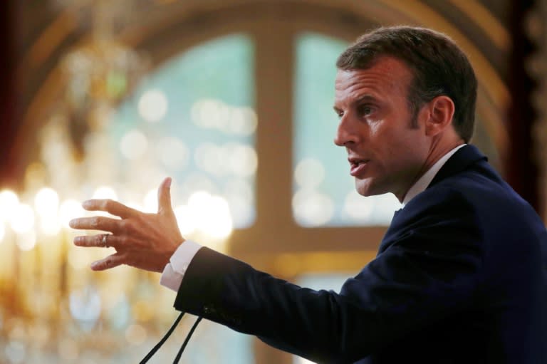 French President Emmanuel Macron came to power last year vowing to overhaul the EU