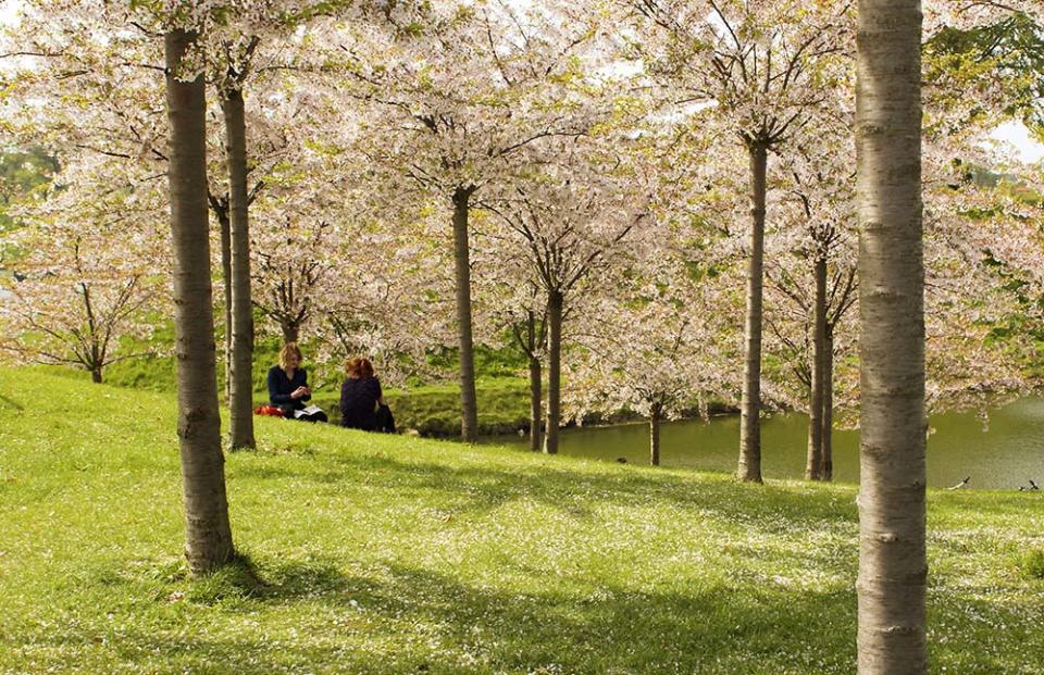 長堤公園（Image Source : Getty Creative）