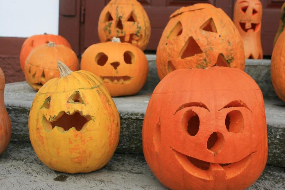 Carved pumpkins are what Halloween means to many people