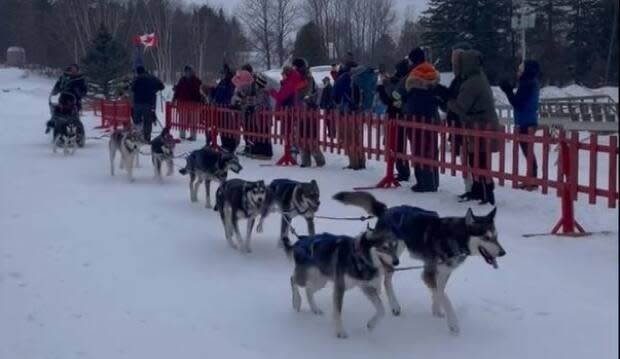 Submitted by Can-Am Crown International Sled Dog Race