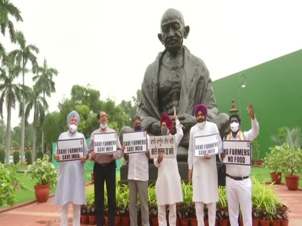 Visuals from protest in Parliament (Photos/ANI)