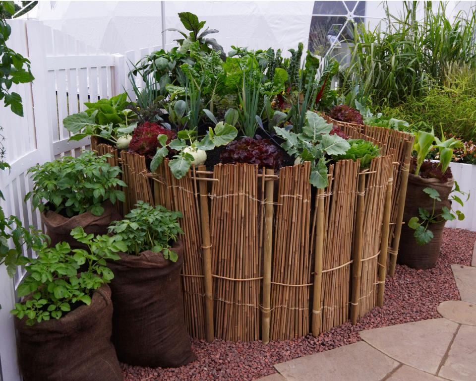 2. Clad your raised beds to add more interest