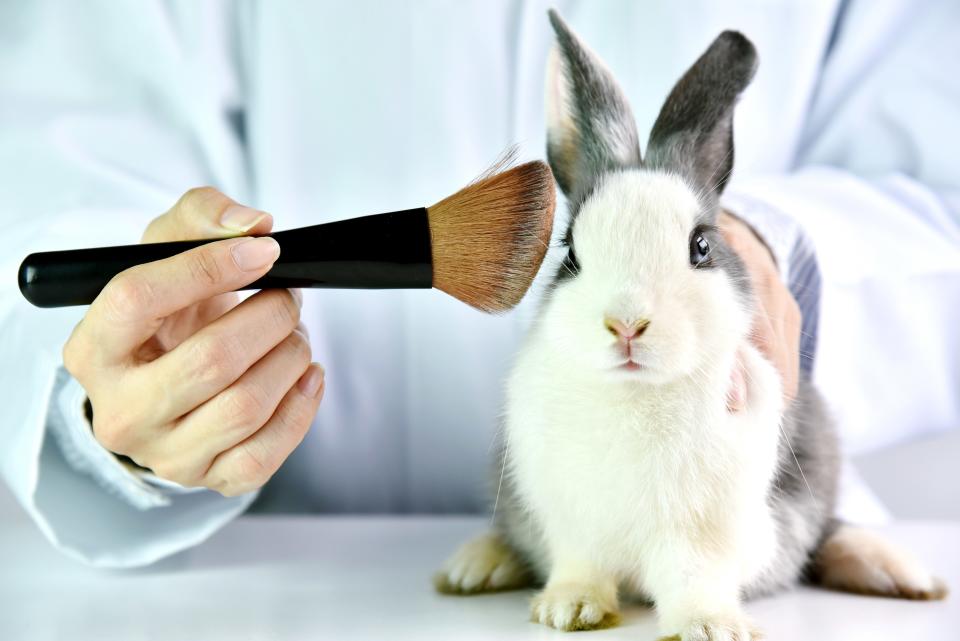 Called the California Cruelty-Free Cosmetics Act, the proposed legislation would ban any beauty brands tested on animals to be sold in the state, if passed.