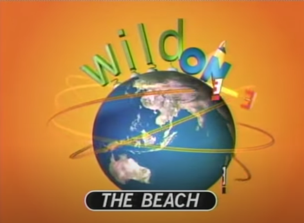 "Wild On" logo