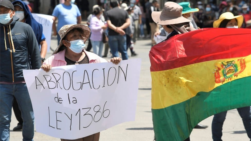 Una mujer con un cartel pidiendo la abrogación de la ley 1386.