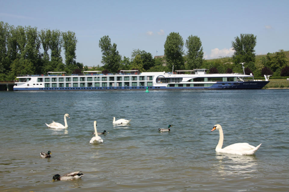 This undated image released by Avalon Waterways shows swans and ducks wading across from the river ship Avalon Felicity on the Rhine River in Breisach, Germany. The small scale of river ships, which typically carry no more than a couple hundred passengers, is a large part of their appeal, in contrast to ocean-going mega-ships that carry thousands. On a river ship, you don’t need a GPS device to figure out where the lobby or the dining room is. And there’s a sense of intimacy, with plenty of cozy moments. (AP Photo/Avalon Waterways)