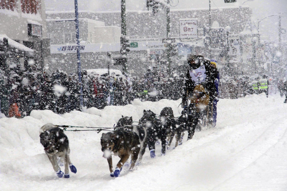 Sean Williams, a rookie musher from Chugiak, Alaska, takes his sled dogs through a snowstorm in downtown Anchorage, Alaska, on Saturday, March 5, 2022, during the ceremonial start of the Iditarod Trail Sled Dog Race. The competitive start of the nearly 1,000-mile race will be held March 6, 2022, in Willow, Alaska, with the winner expected in the Bering Sea coastal town of Nome about nine days later. (AP Photo/Mark Thiessen)