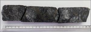 Split section of drill core from hole FR-DD-23-196, over a 0.25-metre sample lengt