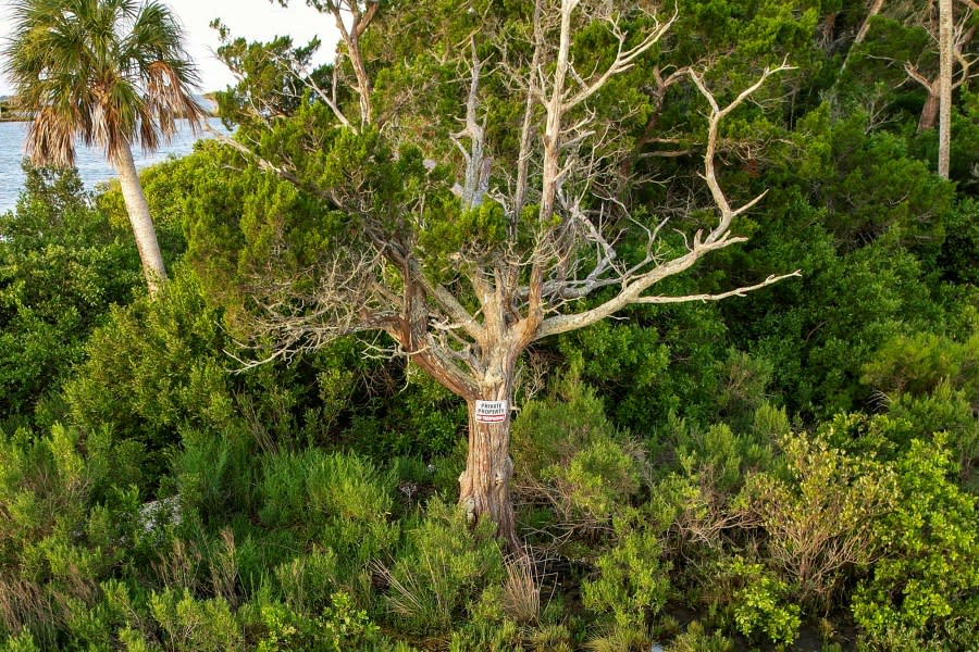 A “Private Property” sign is posted on a tree on Sweetheart Island, off the coast of Yankeetown, Fla., on Aug. 5, 2023. As part of his January 2023 plea deal, Patrick Parker Walsh agreed to return the $7.8 million of federal COVID-19 relief funds and to sell the island, which was among his first purchases with the stolen federal money, according to court records. (AP Photo/Julio Aguilar)