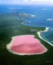 <b>The pink Lake Hiller lake in Western Australia</b> - Scientists have proven the strange pink color is due to the presence of algae which is usually the cause of strange coloration. (Jean Paul Ferrero/Ardea/Caters News)