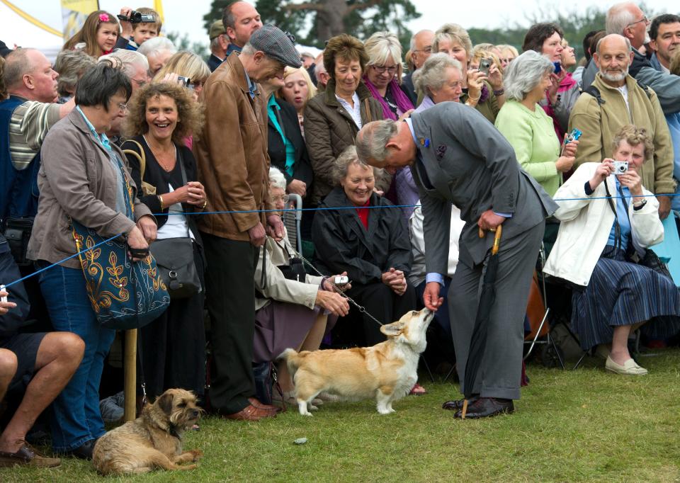 Prince Charles pets a corgi