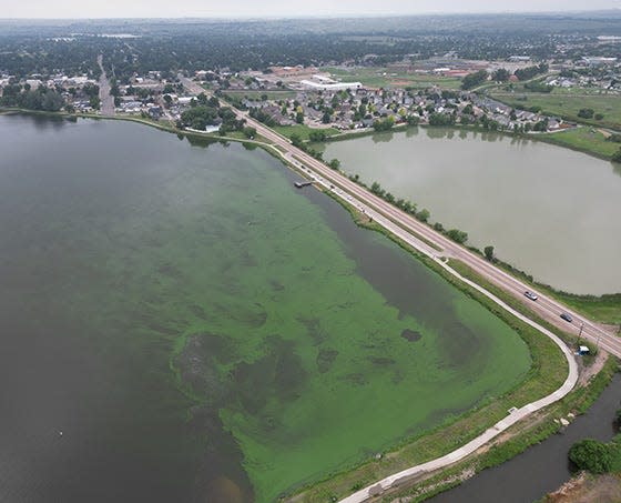 A photo of Windsor Lake taken July 6, 2023 shows it has taken on a green color, a sign of potential blue-green algae. The lake is being tested, and it is closed for swimming recreation.