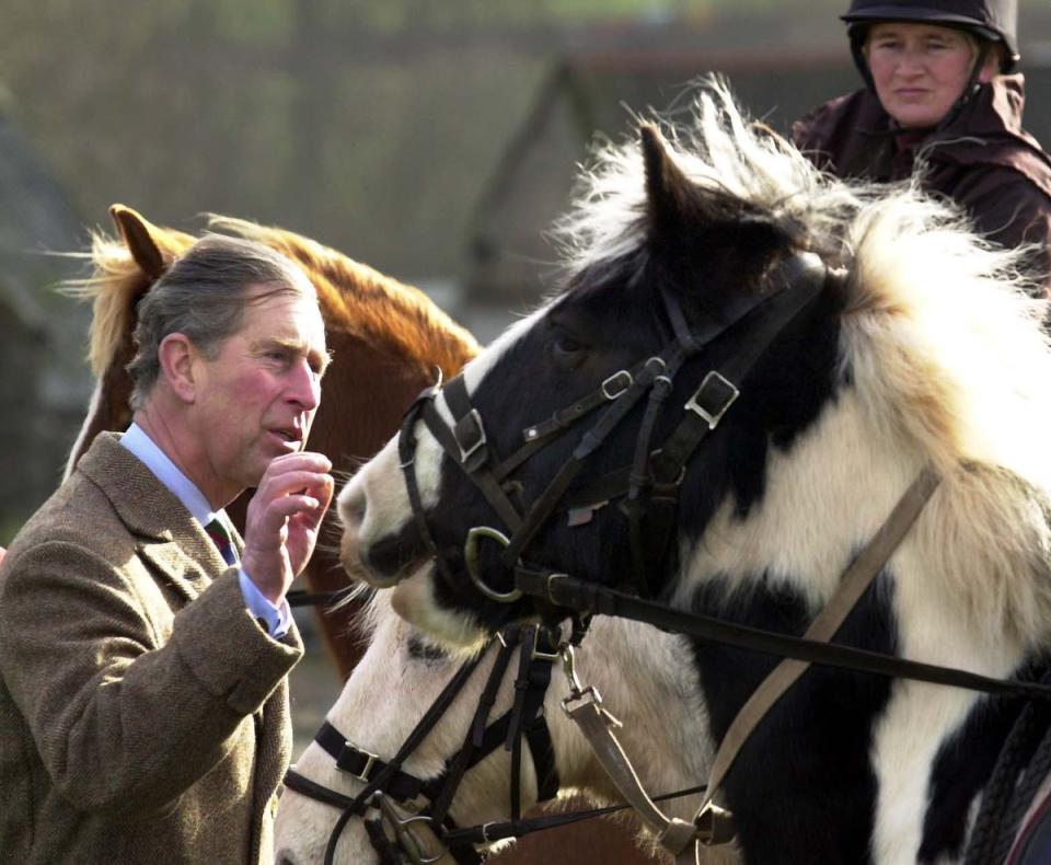 The Prince of Wales at the Cantref Riding Centre in the Brecon Beacons, mid-Wales, a business hit hard by the foot-and-mouth crisis (Barry Batchelor/PA) (PA Archive)