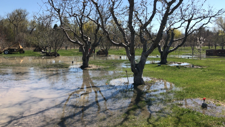 B.C. hot spell brings potential river spills