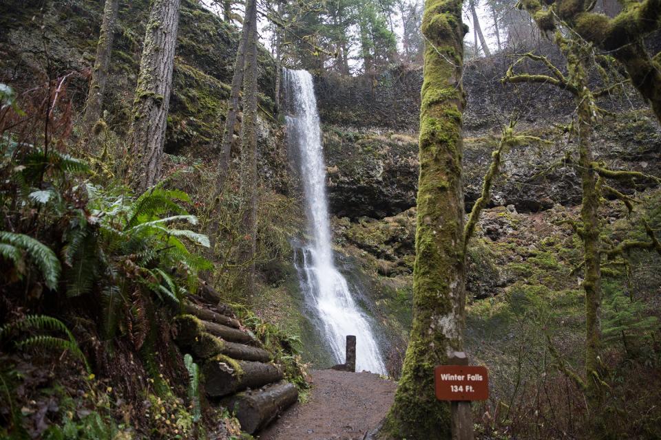 Winter Falls, a 134-foot waterfall in South Falls at Silver Falls State Park in Sublimity, is seen on Dec. 26, 2018.