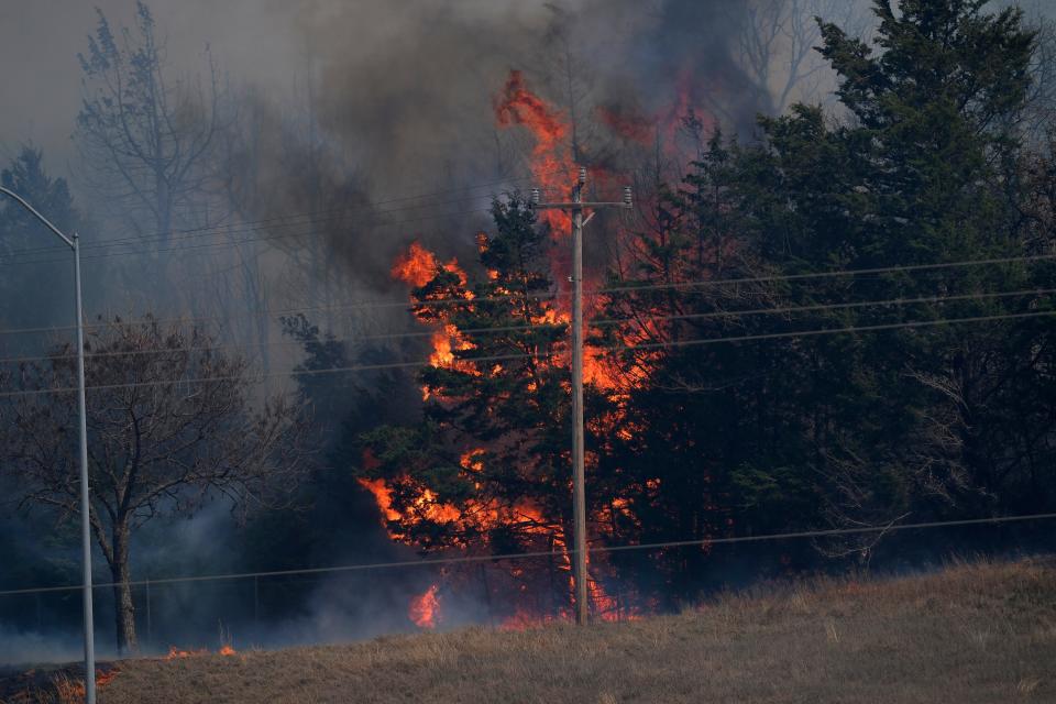 A cedar goes up in flames Friday, March 31, 2023, near the entrance of the Turner Turnpike amid wildfires in northeast Oklahoma City.